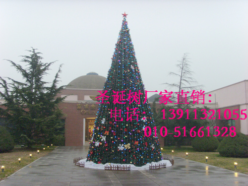 ;ֲĴͿʥ